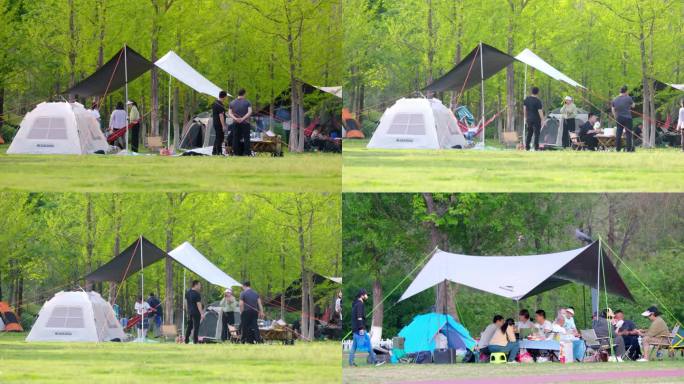 草地宿营 露天帐篷