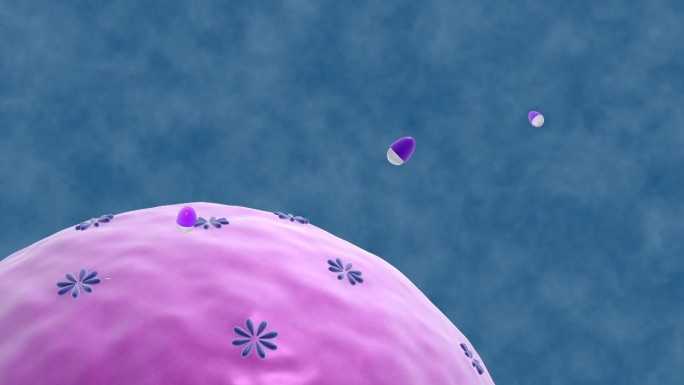 细胞膜 细胞 细胞核 蛋白质磷脂 渗透