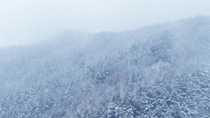 林海雪原