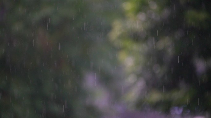 春末夏初下雨雨水谷雨春雨大自然雨滴唯美雨