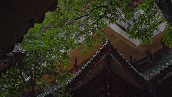 顺德顺峰山公园大雨拍打在琉璃古树古建筑上