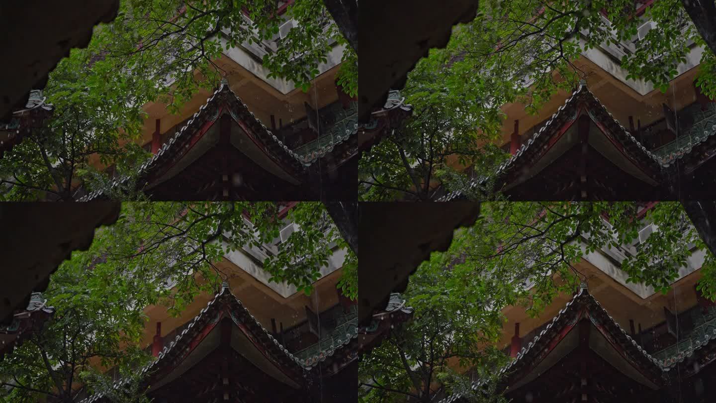 顺德顺峰山公园大雨拍打在琉璃古树古建筑上