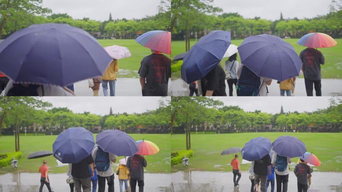 4K实拍顺德顺峰山公园雨中撑伞前行的游客