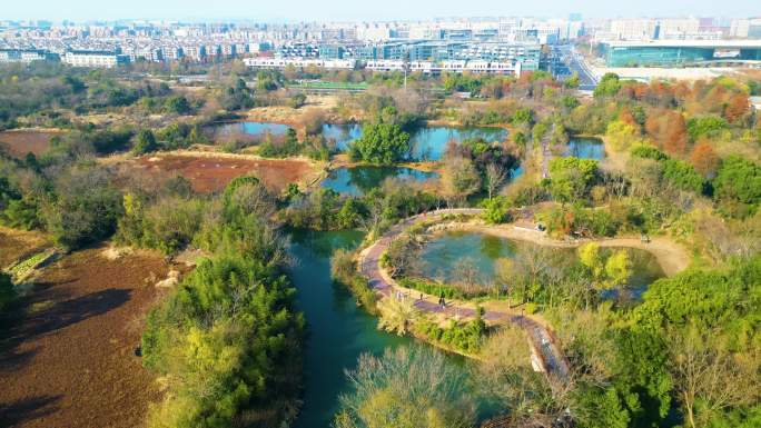 杭州西湖区西溪湿地风景视频素材4