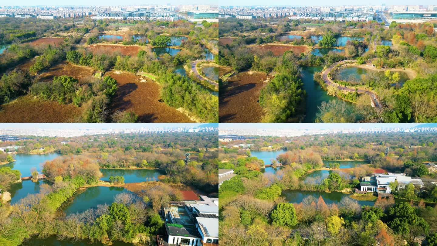 杭州西湖区西溪湿地风景视频素材4