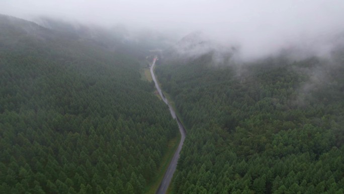 航拍下的塞罕坝森林与晨雾风光