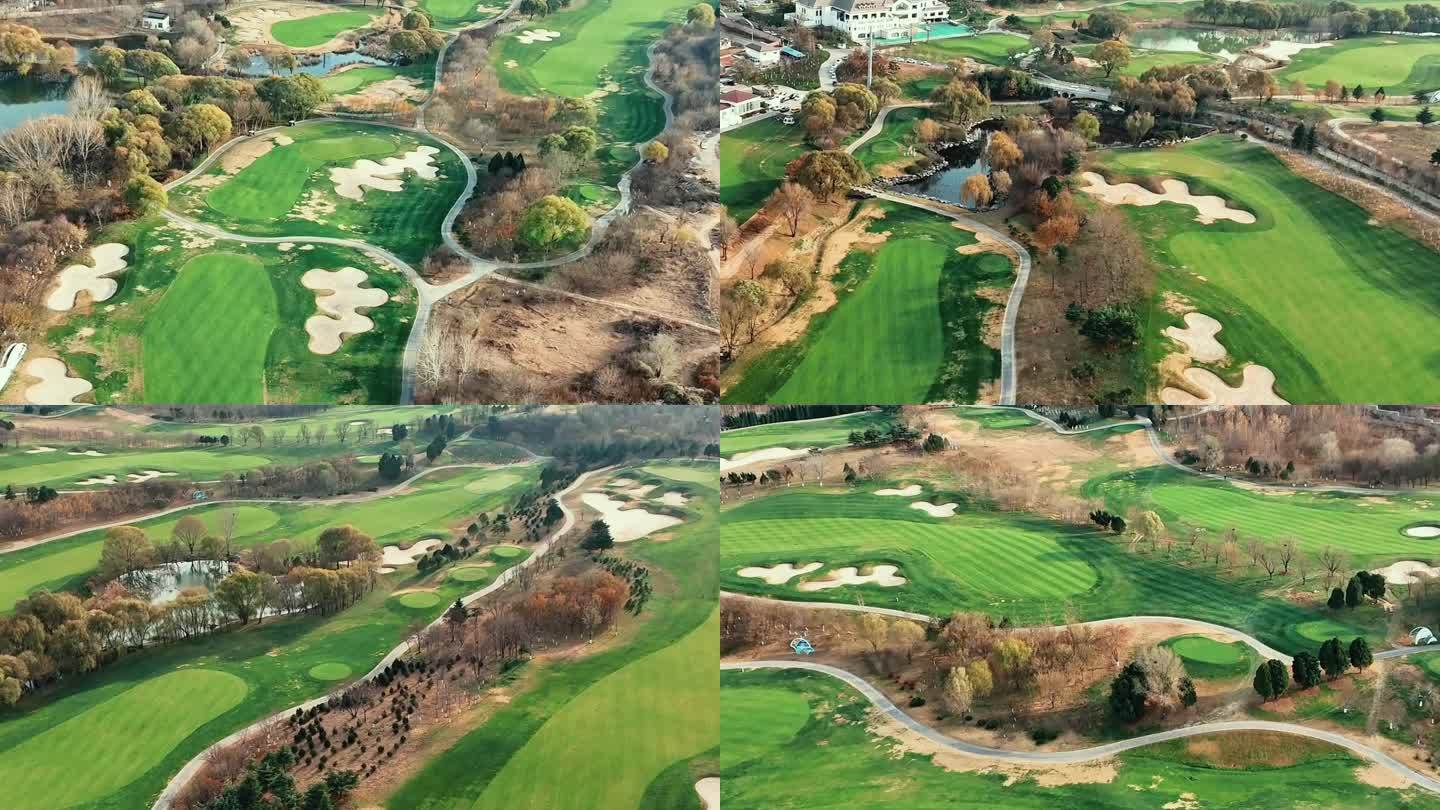高级高尔夫球场 绿色 画面纯净