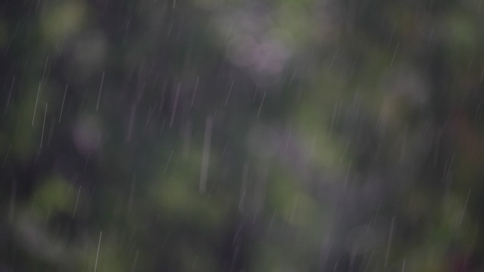 春末夏初下雨雨水谷雨春雨大自然雨滴唯美雨