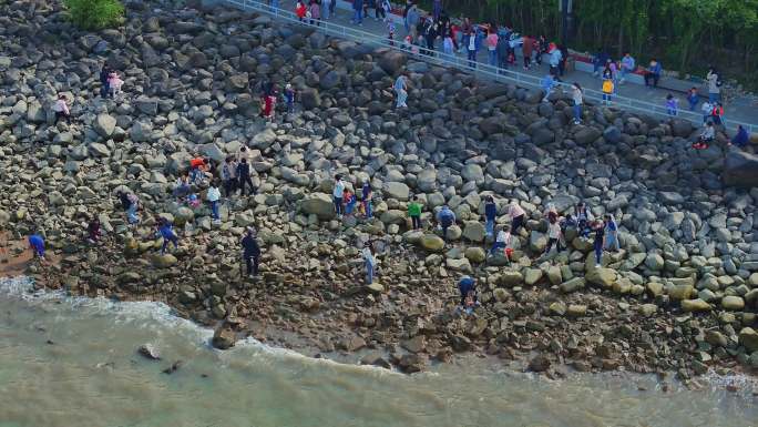 上海宝山炮台湾湿地森林公园