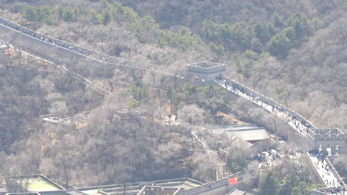 春天 长城 八达岭长城 游玩 人群