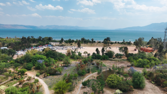 云南澄江 抚仙湖 抚海湾湿地公园