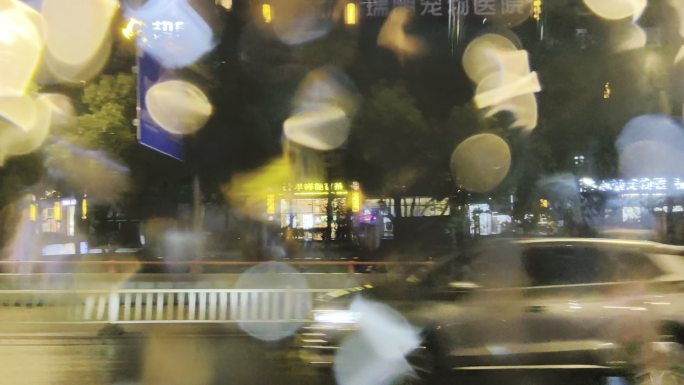 车窗雨中街景