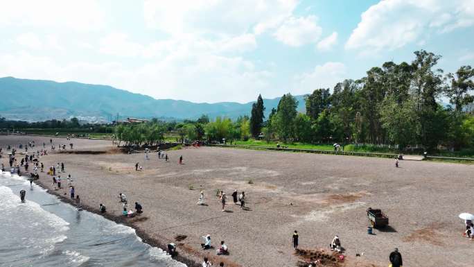 云南澄江 抚仙湖 抚海湾湿地公园