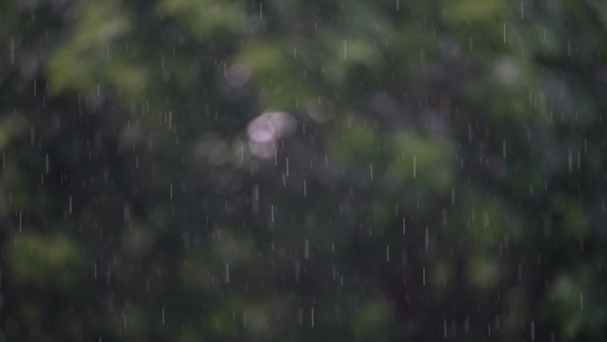 春末夏初下雨雨水谷雨春雨大自然雨滴唯美雨