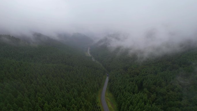 航拍下的塞罕坝森林与晨雾风光