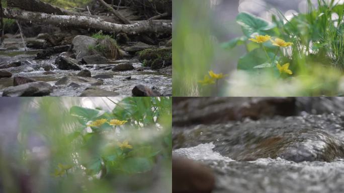 山间积水