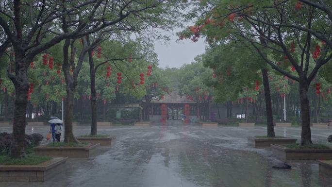 4K实拍，顺德顺峰山公园雨中古树古建筑群