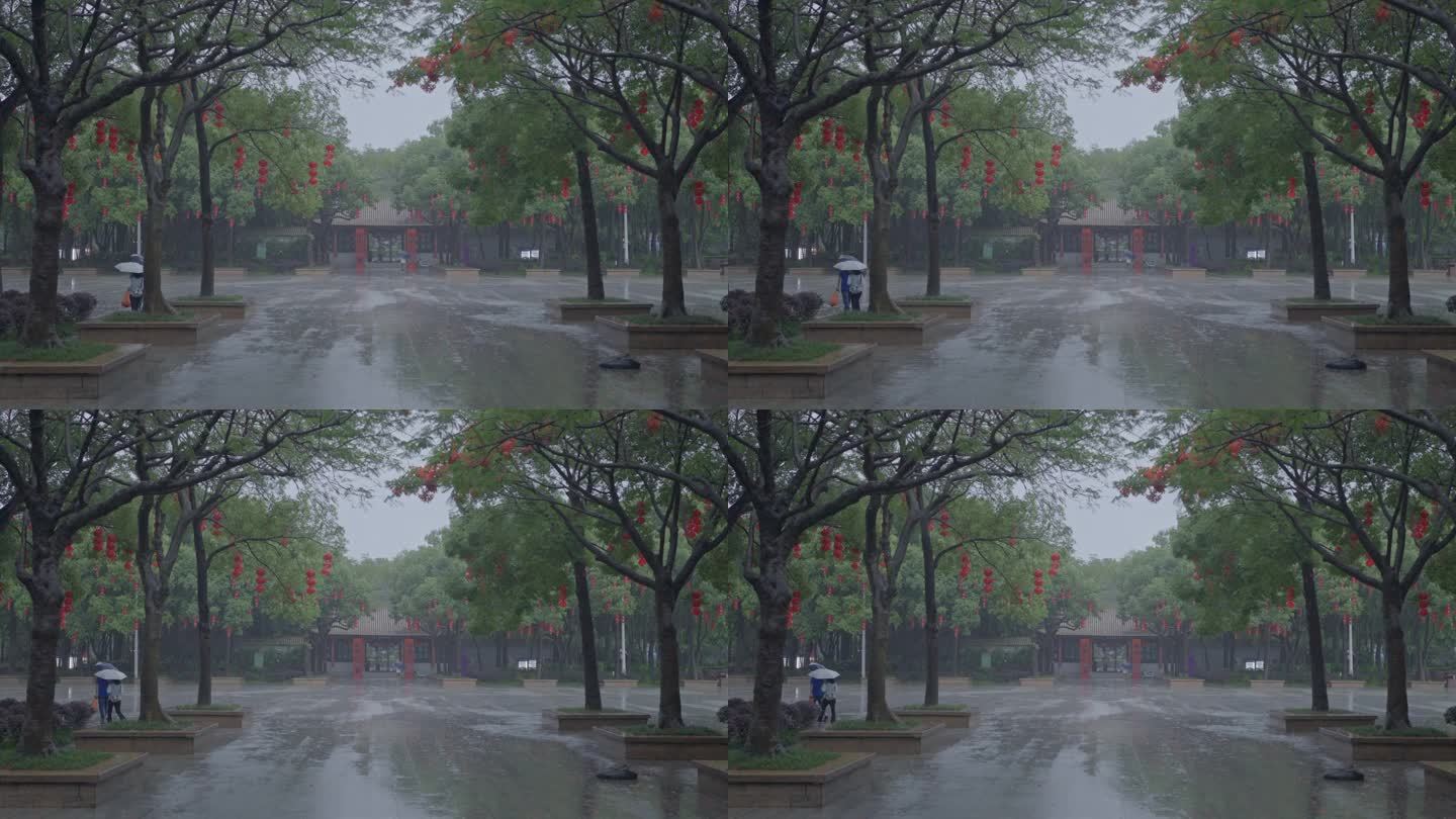 4K实拍，顺德顺峰山公园雨中古树古建筑群