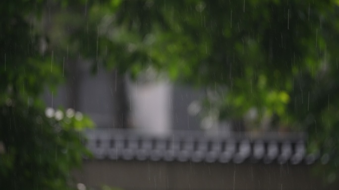 春末夏初下雨雨水谷雨春雨大自然雨滴唯美雨