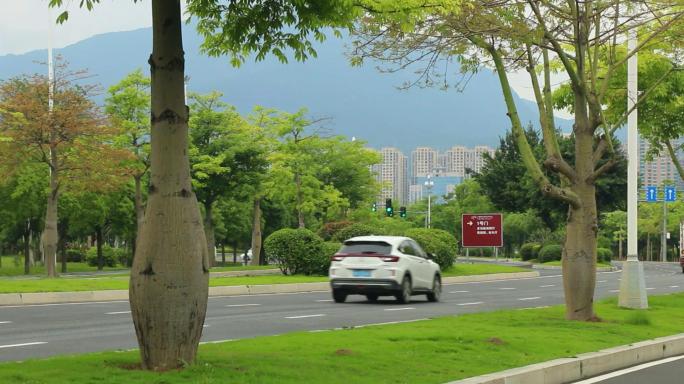 城市道路园林景观空镜素材