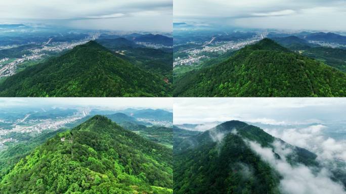 森林 大山 山川