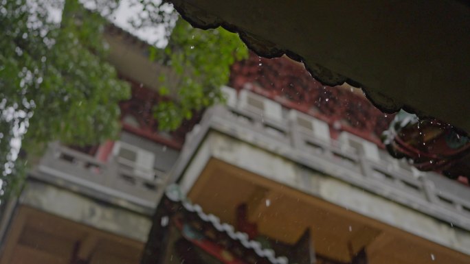 顺德顺峰山公园大雨洒在琉璃古建筑古树上