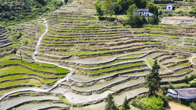 春日梯田层层叠叠春耕航拍