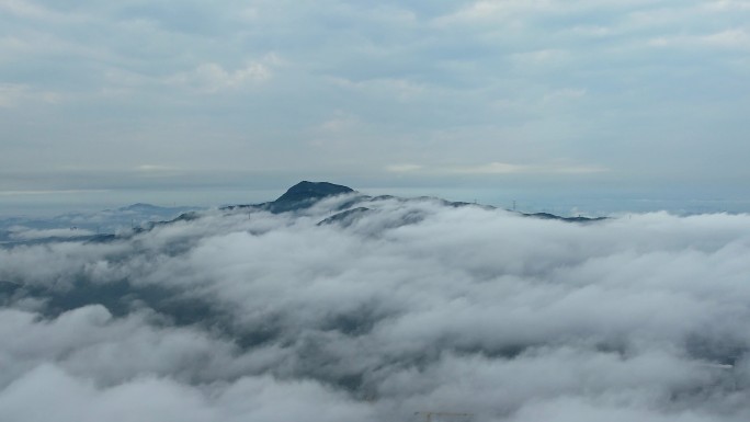 阳台山云海 羊台山云海