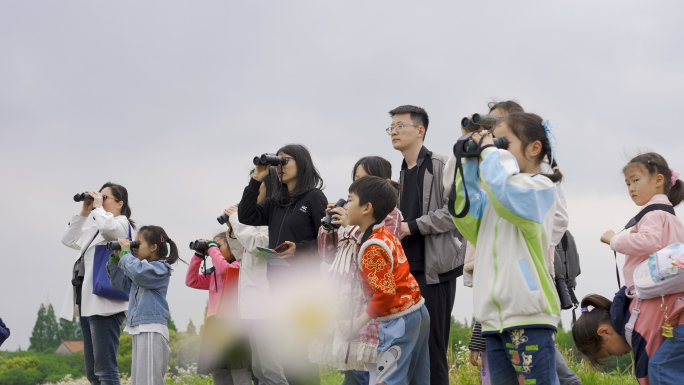 国家湿地公园观鸟 儿童研学活动