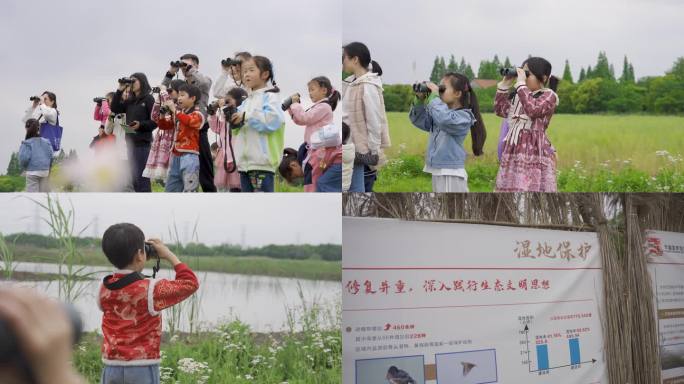 国家湿地公园观鸟 儿童研学活动