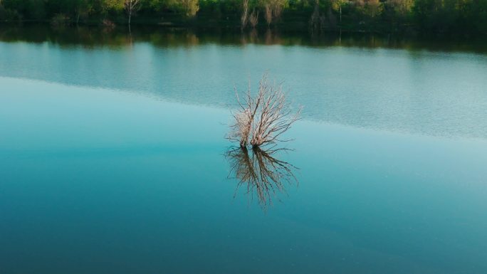 清晨意境航拍-河面上的一棵干树