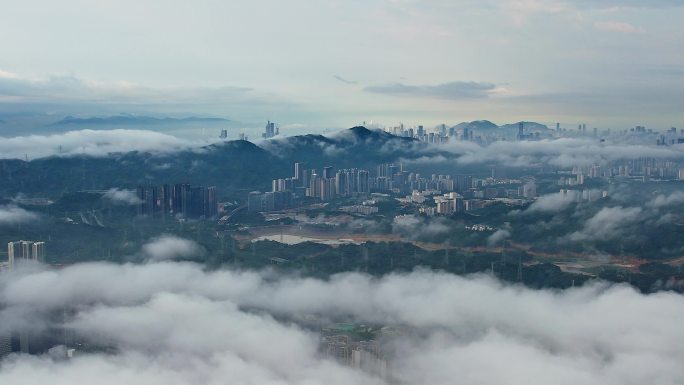 深圳龙华区