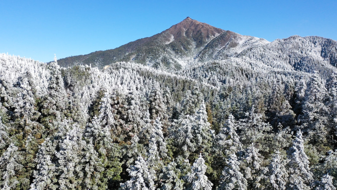 阳光下的林海雪原大雪融化