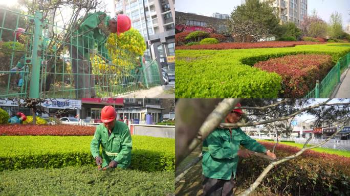 城市绿化养护