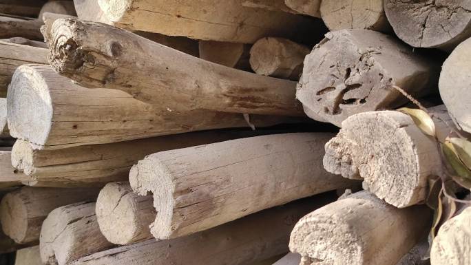 实木地板原木切割实木木材厂实木家居碳排放