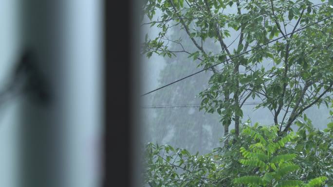 大雨将至，巴山深处 陕南 自然空镜