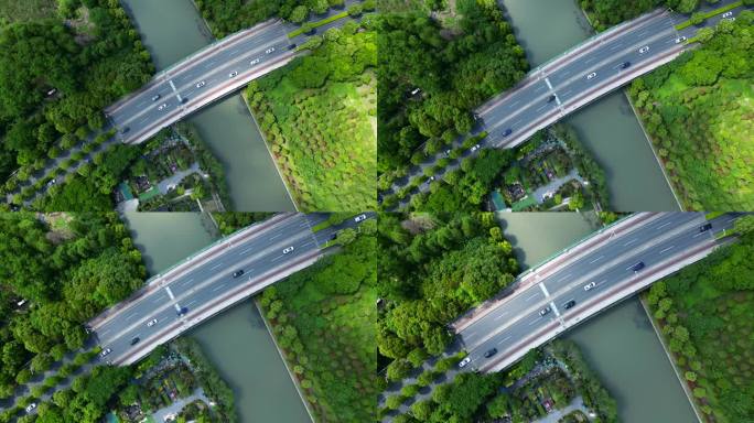 上海城市公园绿地航拍俯拍【4K60】