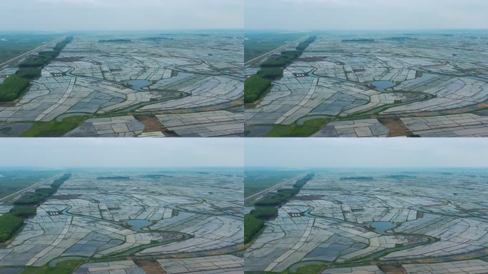 航拍黑龙江省大庆市春季新播种的水稻田