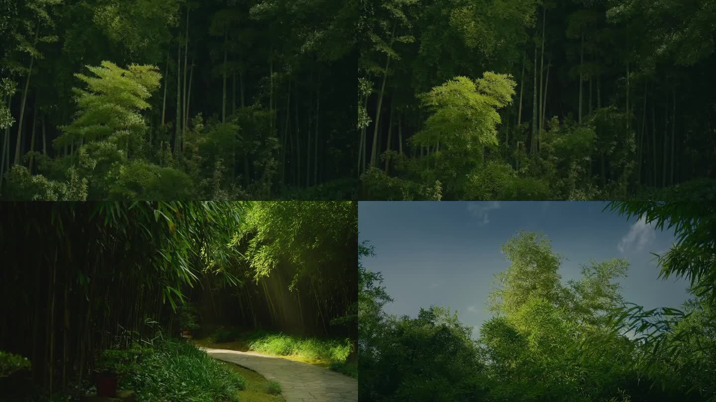 大自然 竹林 绿色 树林 生态 公园