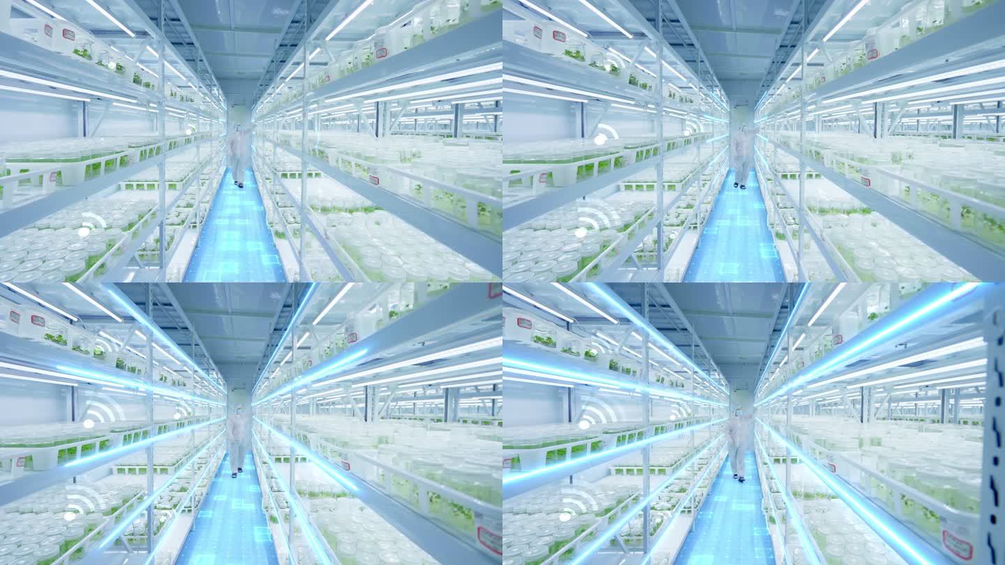 现代农业科技感线条实验室草莓育苗
