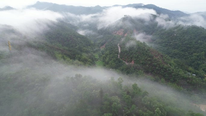 广东梅州大埔县G235国道三河坝段风景