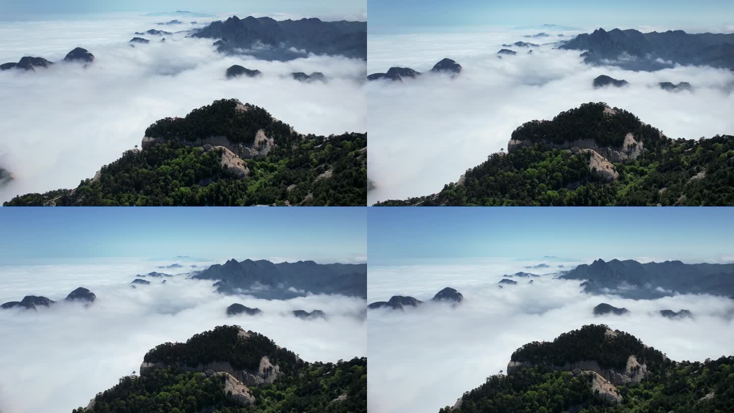 航拍陕西西岳华山景区山峰云海自然风景