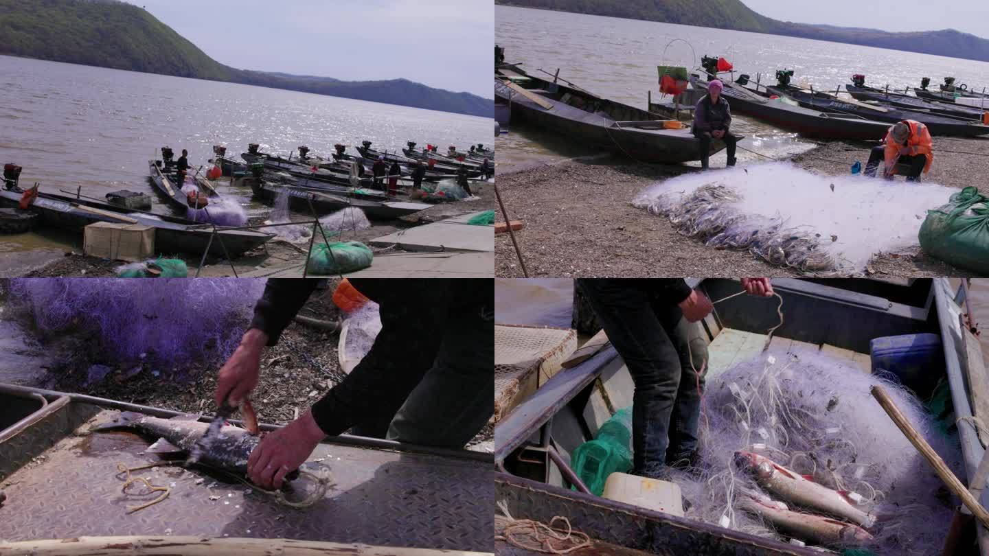 乌苏里江渔民渔船和胖头鱼