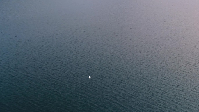 原创湖景绿水青山金色夕阳飞鸟有机32