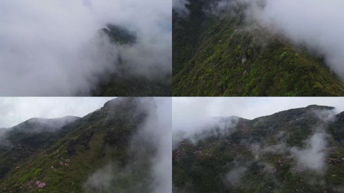梵净山4k航拍云雾缭绕绿水青山