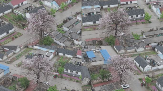 航拍山东烟台牟平区龙泉镇河北崖胡同村初夏