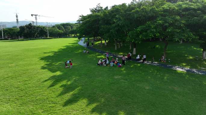 城市绿地休闲公园草坪