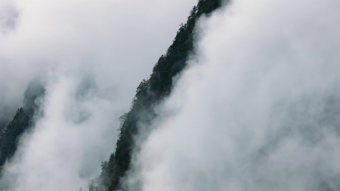 山谷里的云雾天气