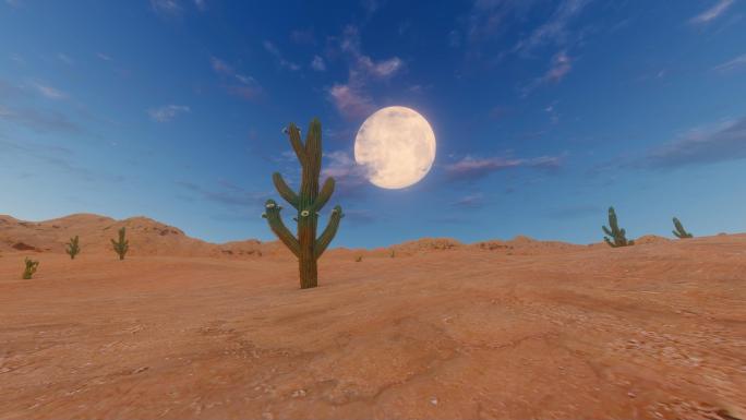 夜晚沙漠月亮升起延时景观