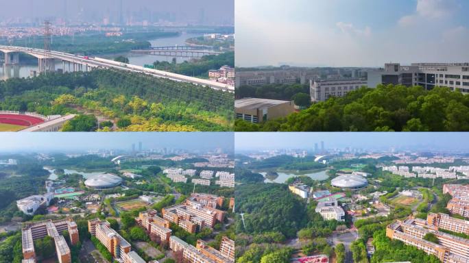 广州大学城航拍校园广东广州番禺区城市风景